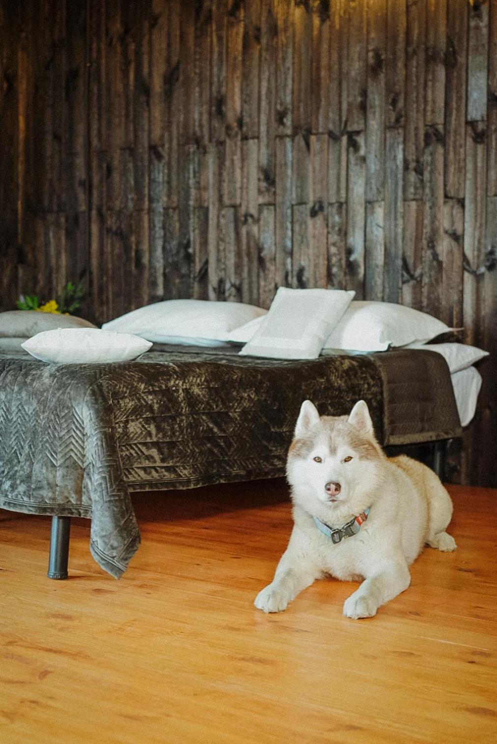 Долина Хюгге Hotel Chornomors'ke  Buitenkant foto